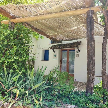 Alájar Casita Esperanzaヴィラ エクステリア 写真